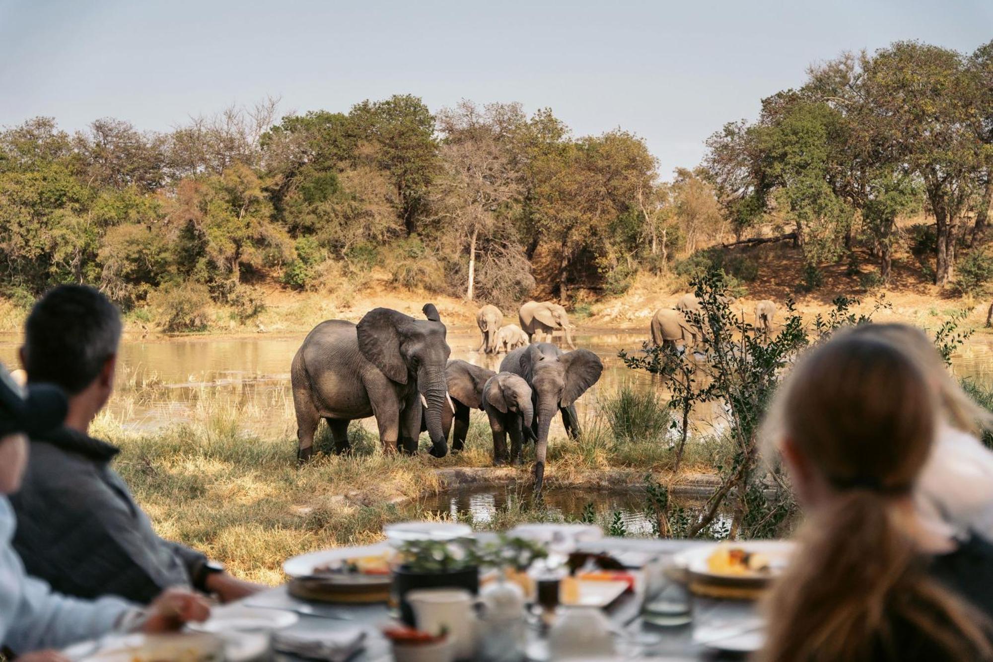 Simbavati River Lodge Timbavati Game Reserve Exteriér fotografie