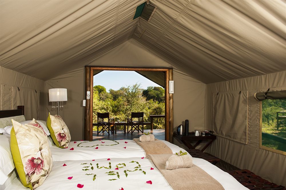 Simbavati River Lodge Timbavati Game Reserve Exteriér fotografie